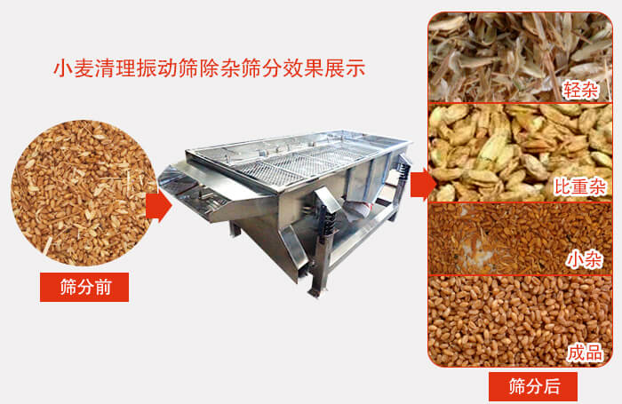小麥清理振動篩小麥篩分效果展示圖可同時(shí)篩分出輕雜，比重雜，小雜，成品等四個等級。